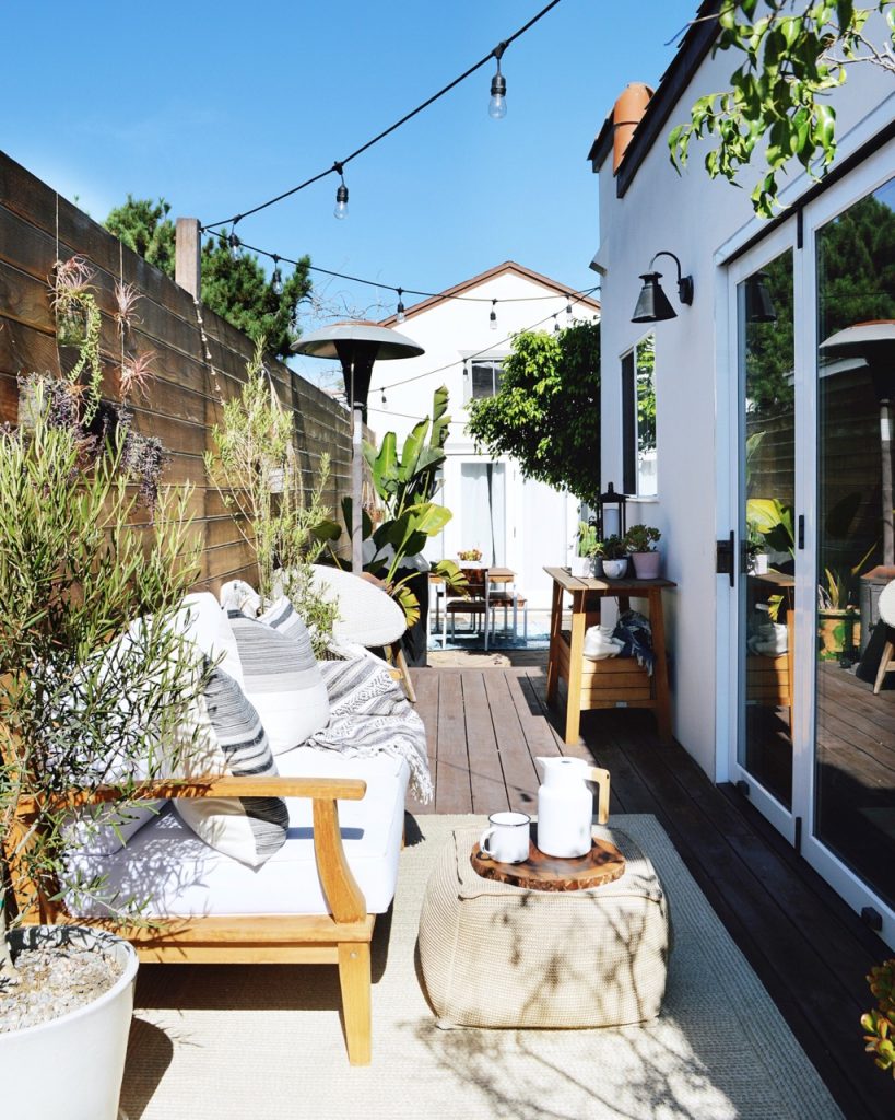 olive tree