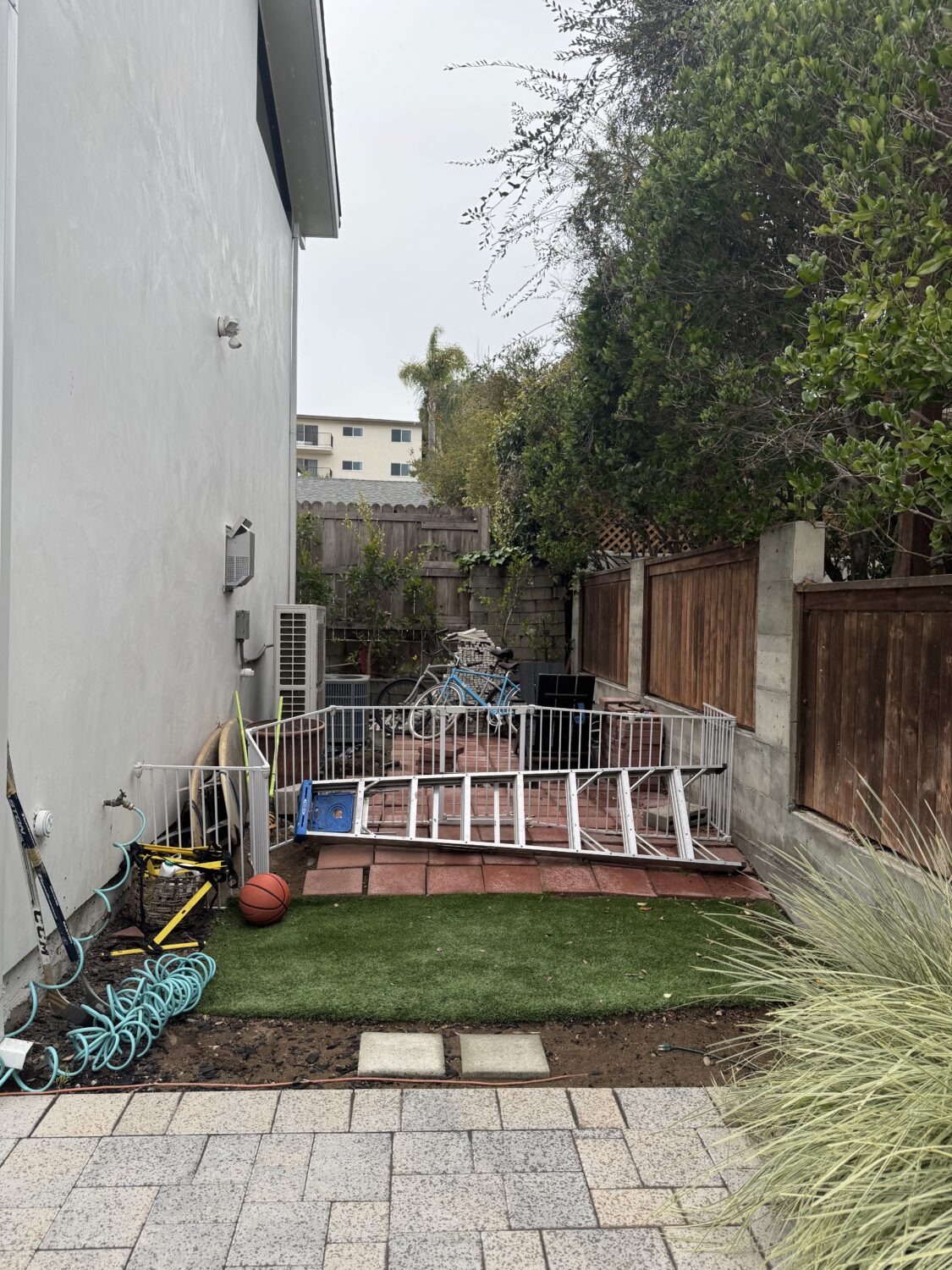 backyard before picture